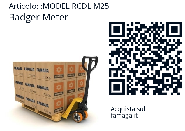   Badger Meter MODEL RCDL M25