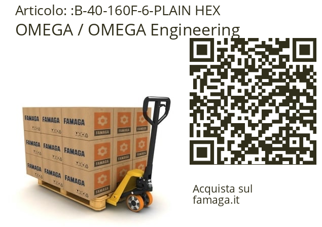   OMEGA / OMEGA Engineering B-40-160F-6-PLAIN HEX