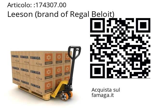   Leeson (brand of Regal Beloit) 174307.00