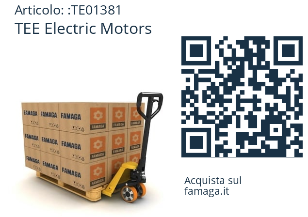  TEE Electric Motors TE01381