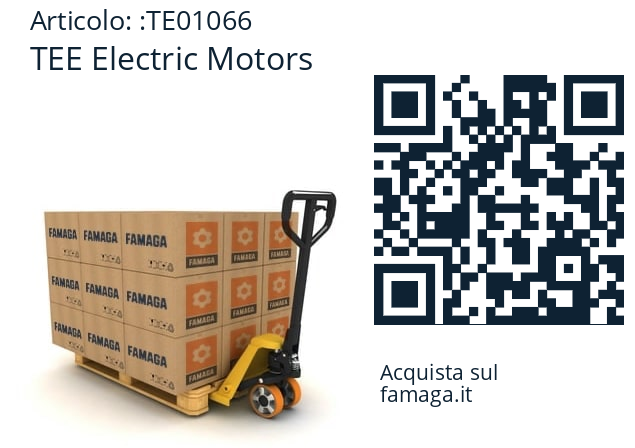   TEE Electric Motors TE01066