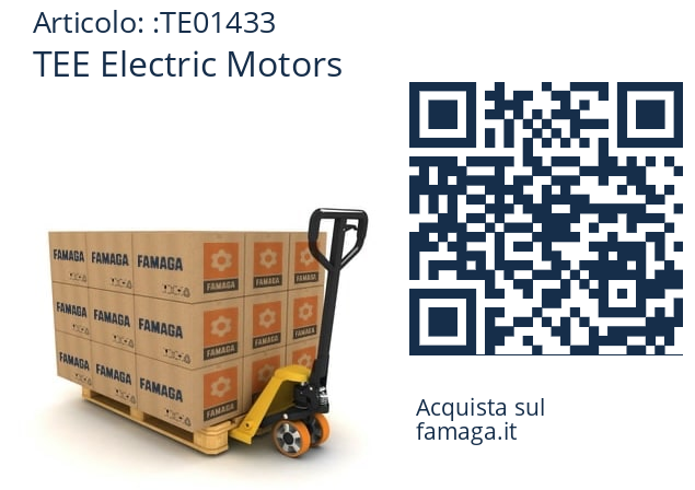   TEE Electric Motors TE01433